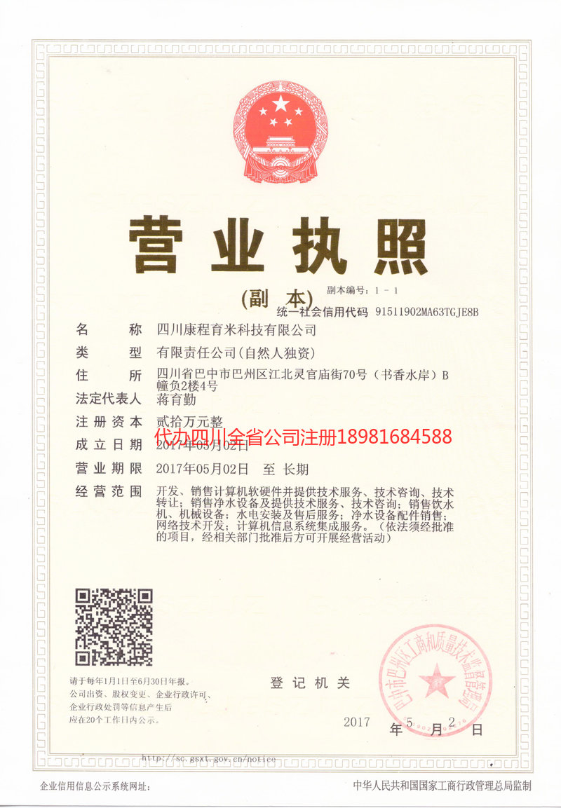 四平四平康程育米科技有限公司